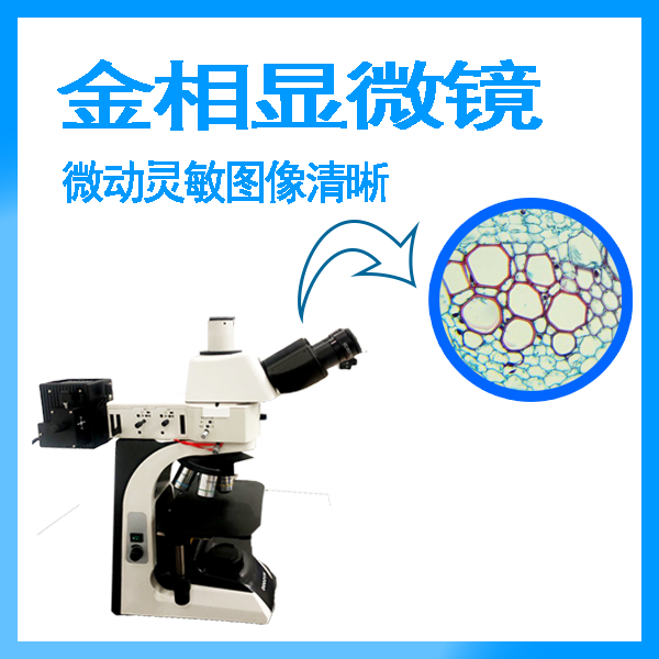 正置金相显微镜多少钱