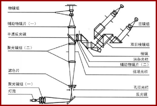 电子显微镜原理