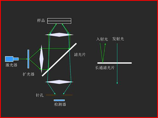 激光共聚焦显微镜